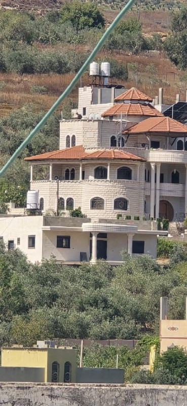 صورة الخبر