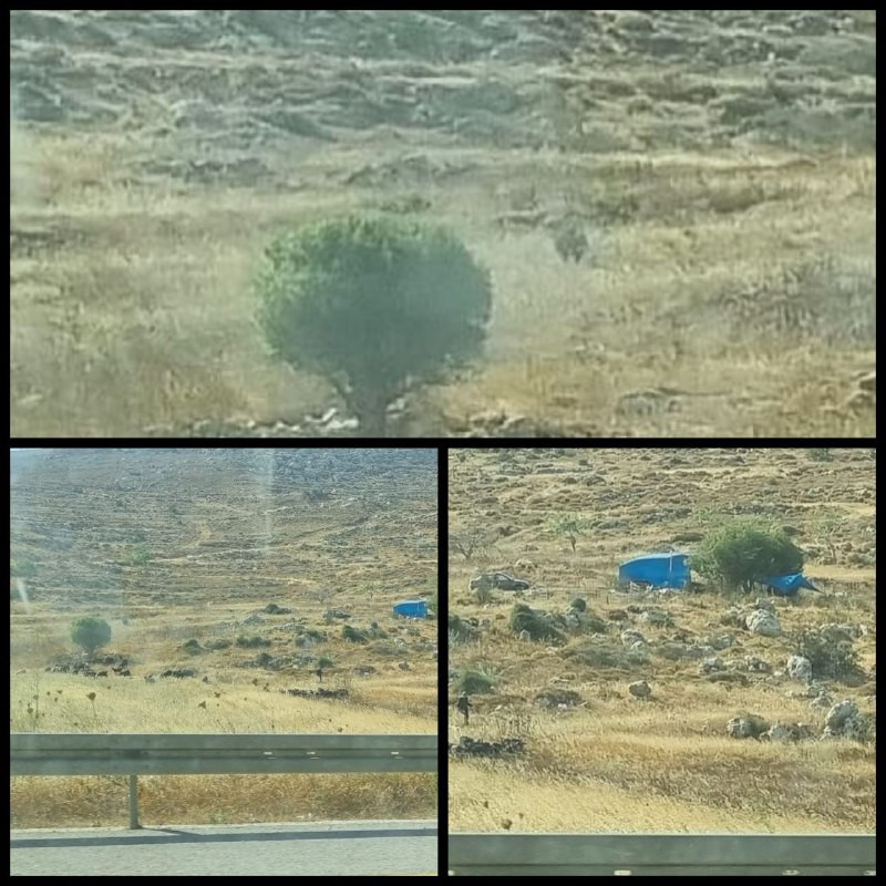 مستوطنون يقيمون بؤرة استيطانية رعوية جديدة في أراضي بلدة المزرعة الشرقية شمال شرق رام الله....