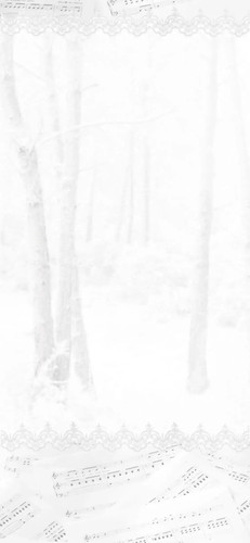 Image 1785081202557 615.jpg
