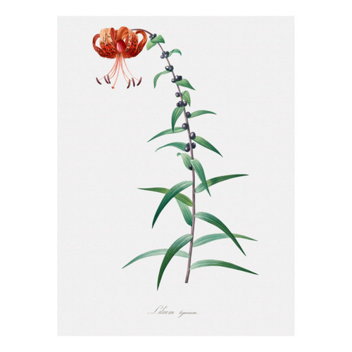 Untitled design (10).jpg