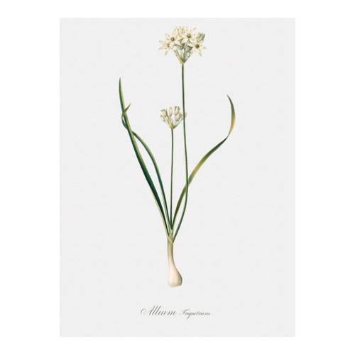 Untitled design (14).jpg