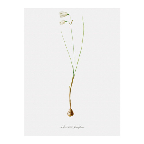 Untitled design (13).jpg