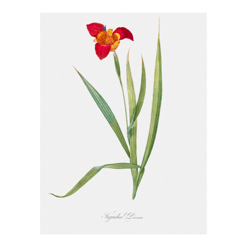 Untitled design (11).jpg