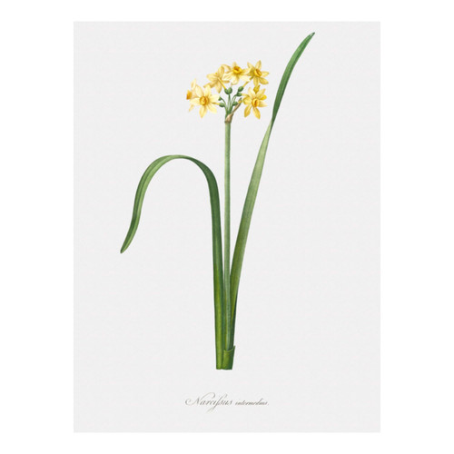 Untitled design (15).jpg