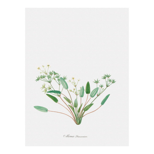 Untitled design (12).jpg