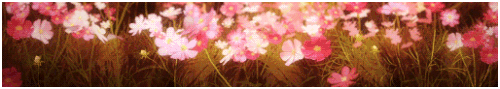 a52f16d3024461138cc36d3d6319e65b ezgif.com effects.gif