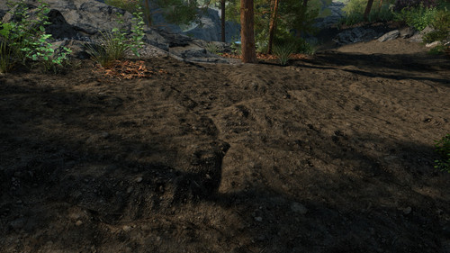 1.hump.jpg