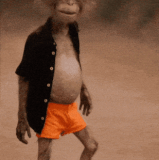 IMG 0035.gif