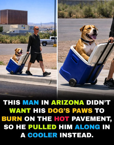1000000509.jpg