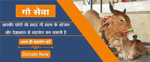 Cow Donation Online.jpg