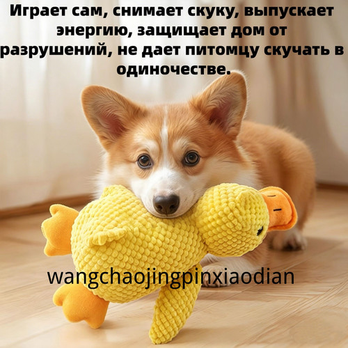 1780739618103.jpg