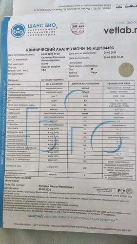 1000056379.jpg