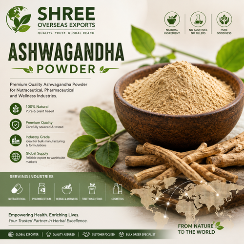 Ashwagandha Powder for Nutraceutical Manufacturers A Growing Choice for Modern Wellness Products.png