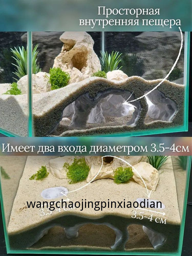 1780742257181.jpg