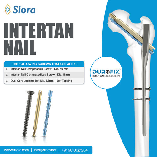 Intertan Nail Long – 130° Titanium.jpg