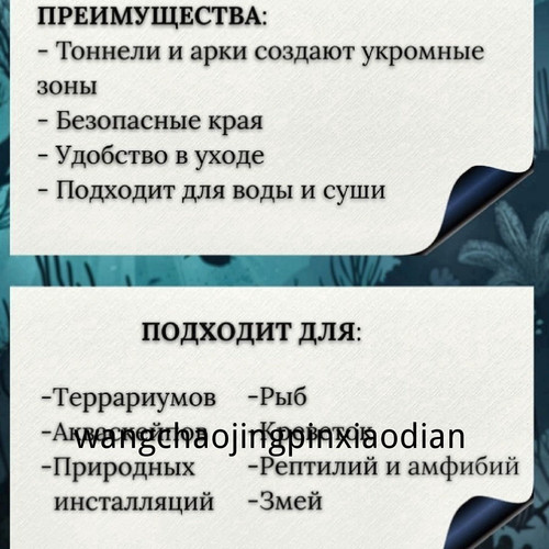 1780742520403.jpg