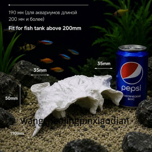 1780742779787.jpg