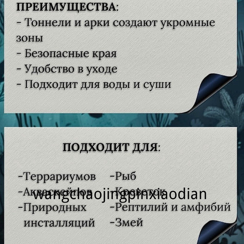 1780742710642.jpg