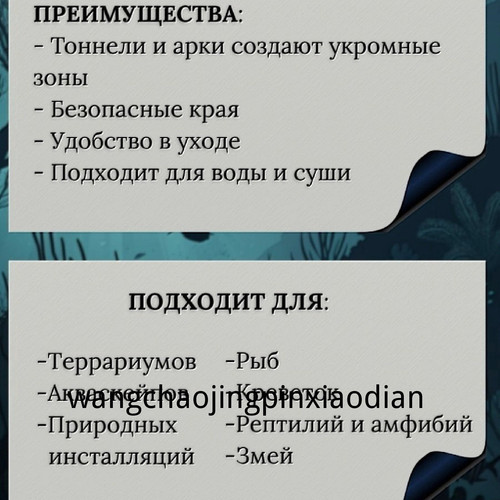 1780742942479.jpg