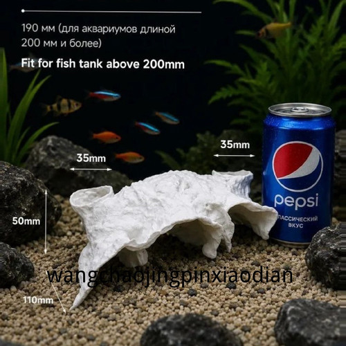1780743074534.jpg