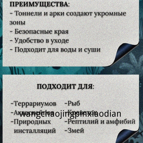 1780743050179.jpg