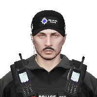 f3a7e1a166fc.png