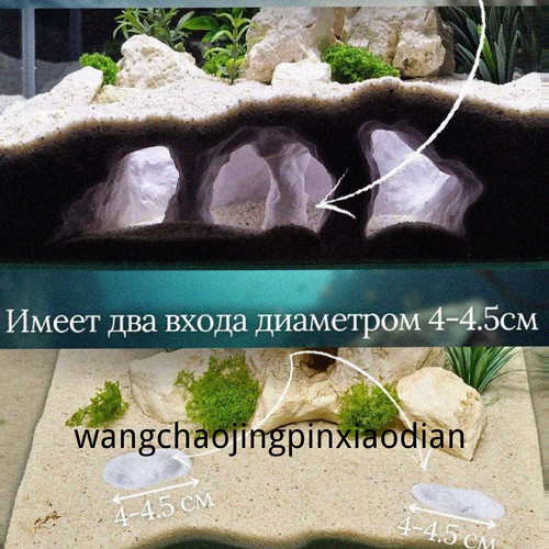 1780742817048.jpg