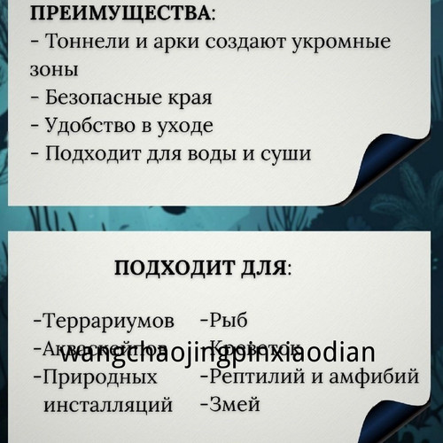 1780743194978.jpg