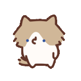 没钱.gif