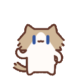 自信.gif