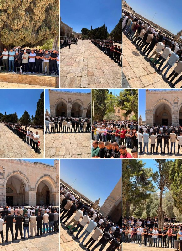 صور | 65 ألف مصل أدّوا صلاة الجمعة في المسجد الأقصى المبارك، رغم تضييقات وعراقيل الاحتلال....