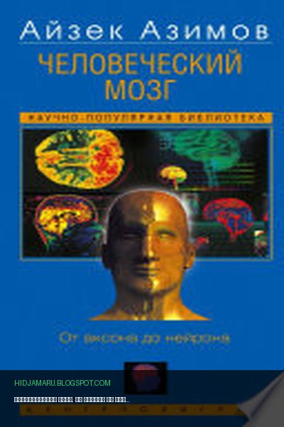 Обложка книги «Человеческий мозг. От аксона до нейрона» - Айзек Азимов