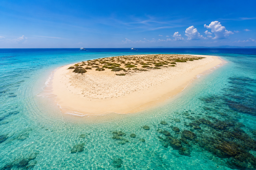 Snorkeling with reef fish