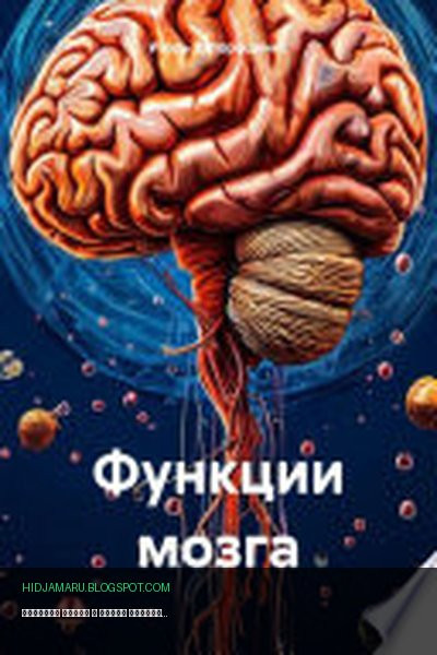 Обложка книги «Функции мозга» - Игорь Запорощенко