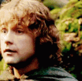 IMG 8703.gif