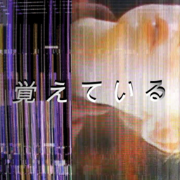 9d118bb55cee.png