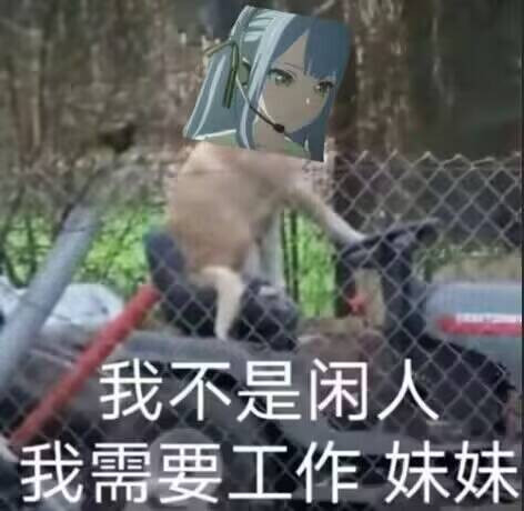 tmpe707ojpw.jpg