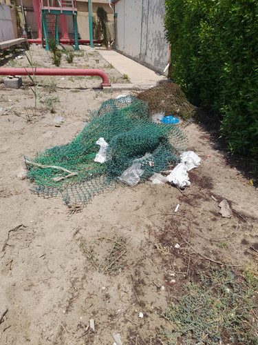 photo.jpg