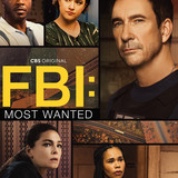 FBI most S04.jpg