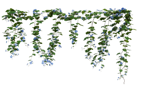 1000134046.png