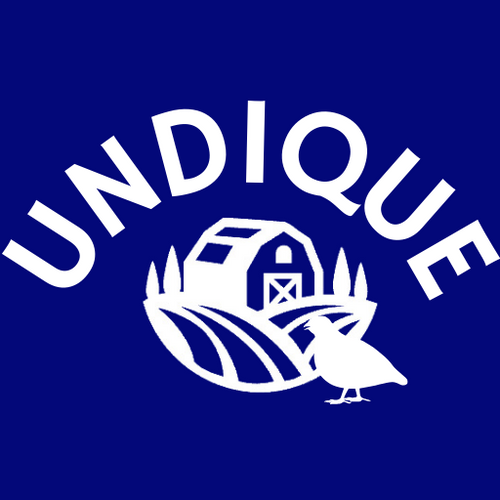 Quailz logo