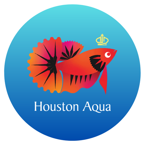 Houston Aqua logo