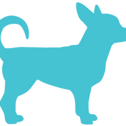 Rocky Maggies logo