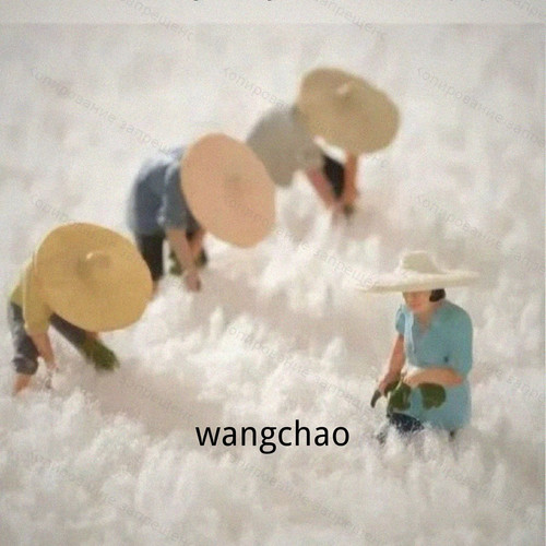 1780814693857.jpg