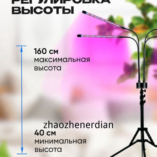 1780813925434.jpg