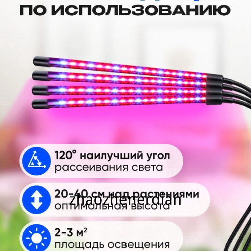 1780813925436.jpg