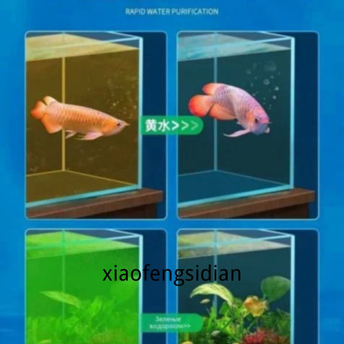1780814264404.jpg