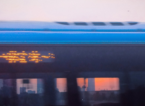 1000048233.jpg