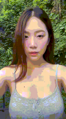 Aunjrpin 070626.gif
