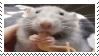 tumblr f7b00aca097fa8c395fda422f4ac8327 70d54674 100.webp